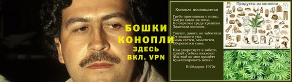 молекула духа Лагань