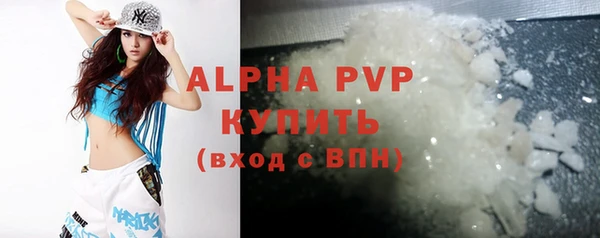 гашик Ладушкин