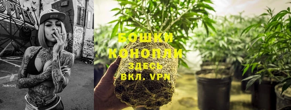 молекула духа Лагань