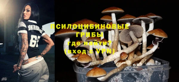 гашик Ладушкин